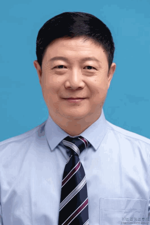  个人形象照片